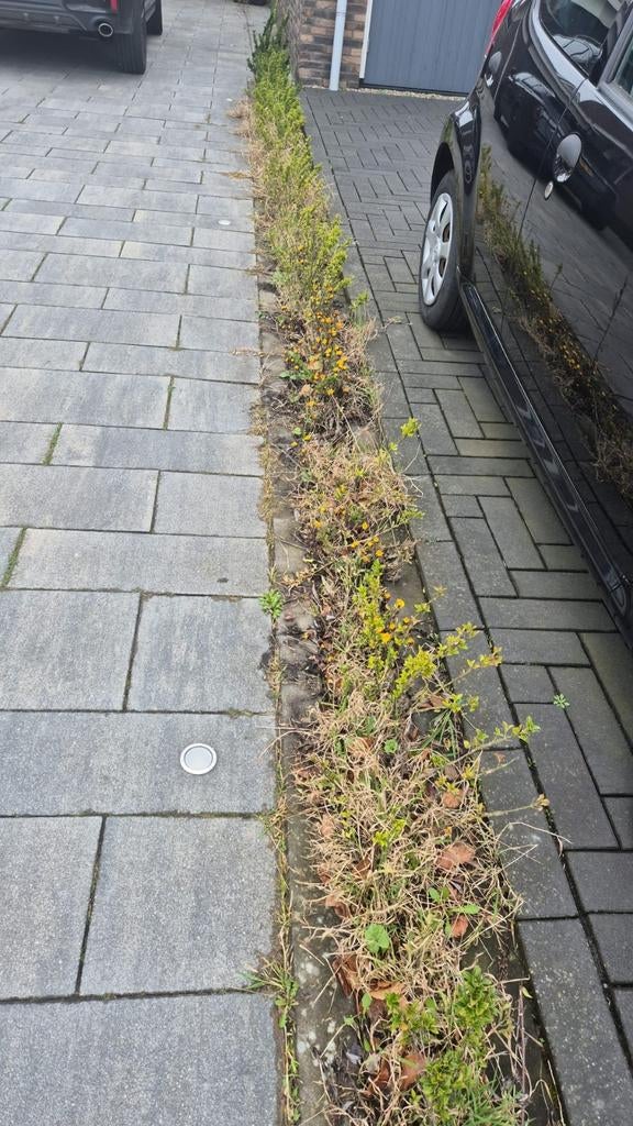 Tuinen opruimen, Tuin en Terras, Overige Tuin en Terras, Ophalen of Verzenden, Nieuw