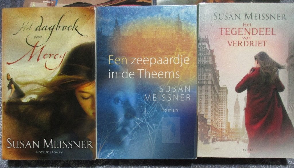 4 chr romans van Susan Meissner - 3,00 per stuk, Ophalen of Verzenden, Zo goed als nieuw