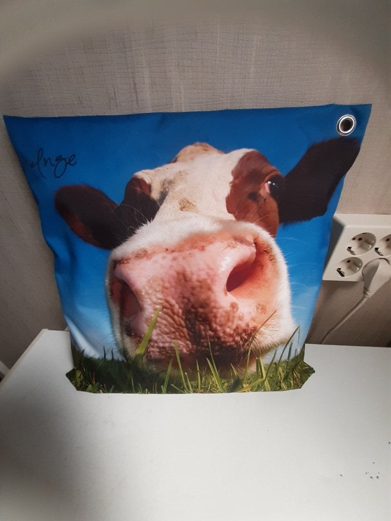 leuk buitenkussen koe z.g.a.n., Ophalen of Verzenden