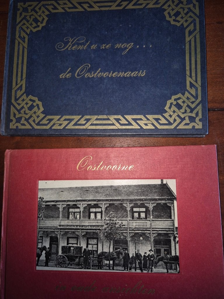 Ansichten Oostvoorne, Ophalen of Verzenden, Gelezen