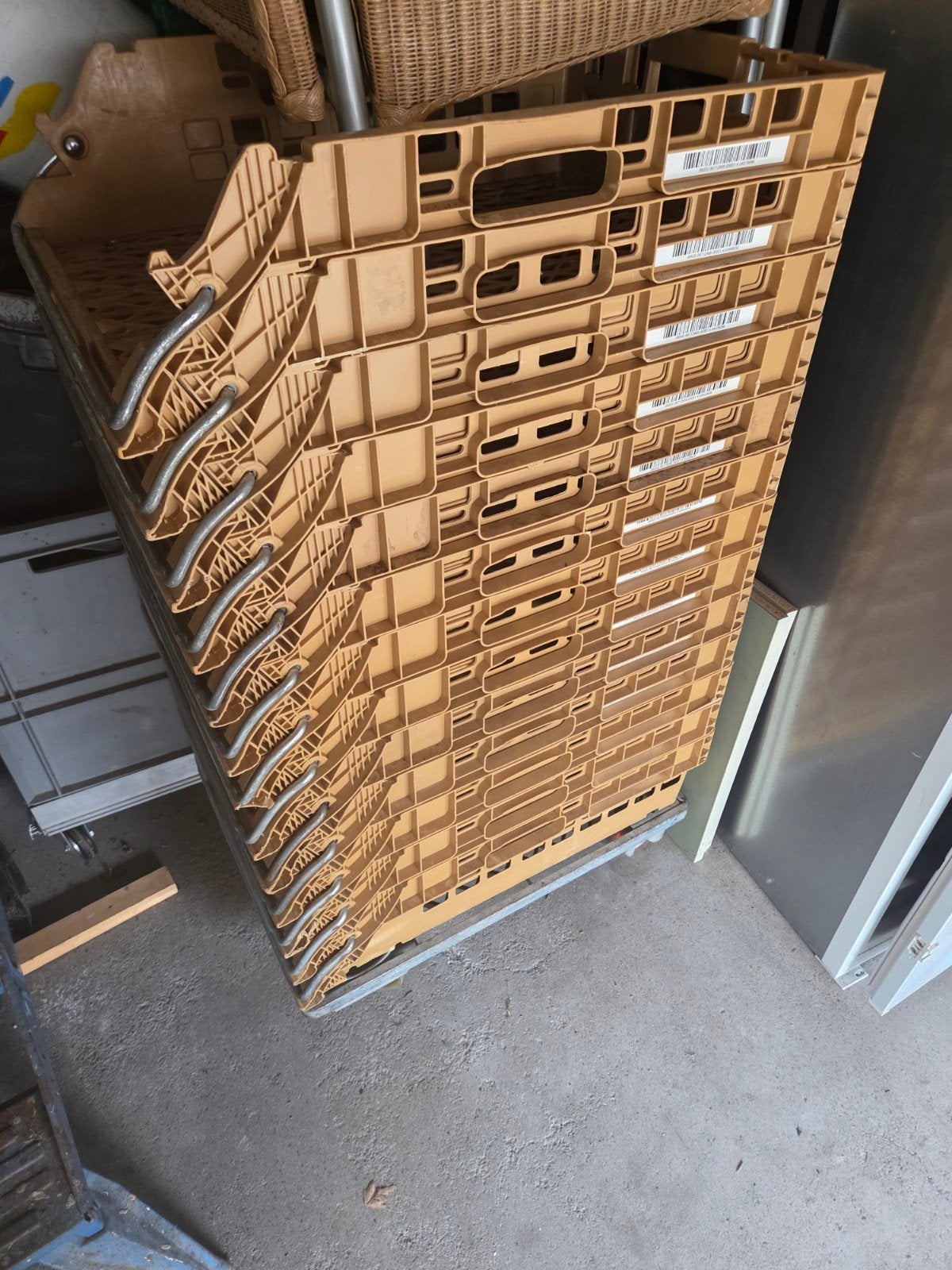 Broodkratten, Ophalen of Verzenden, 60 cm of meer, Doos, Minder dan 35 cm