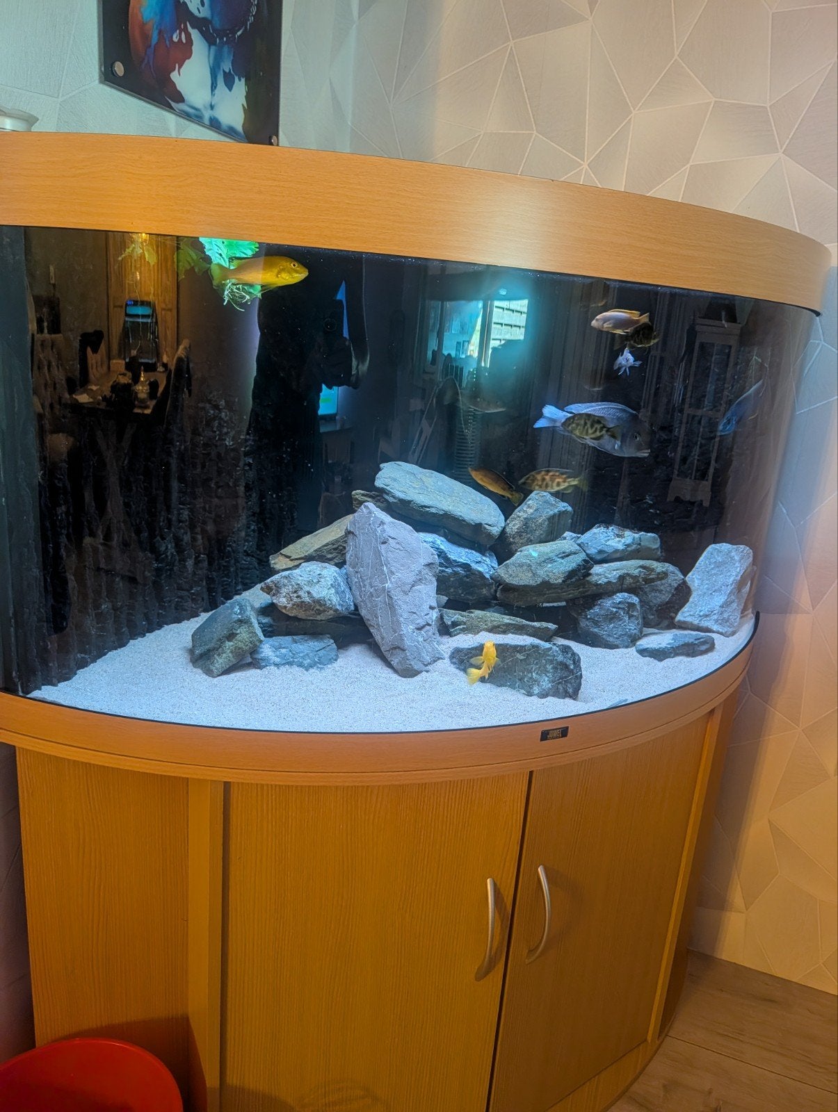 aquarium, Ophalen, Gebruikt, Leeg aquarium