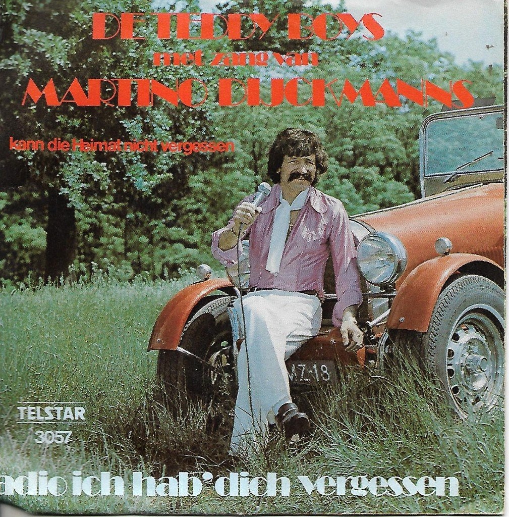 De Teddy Boys - Adio ich hab dich vergessen (Telstar), Fotohoes, Ophalen of Verzenden, Gebruikt, Nederlandstalig