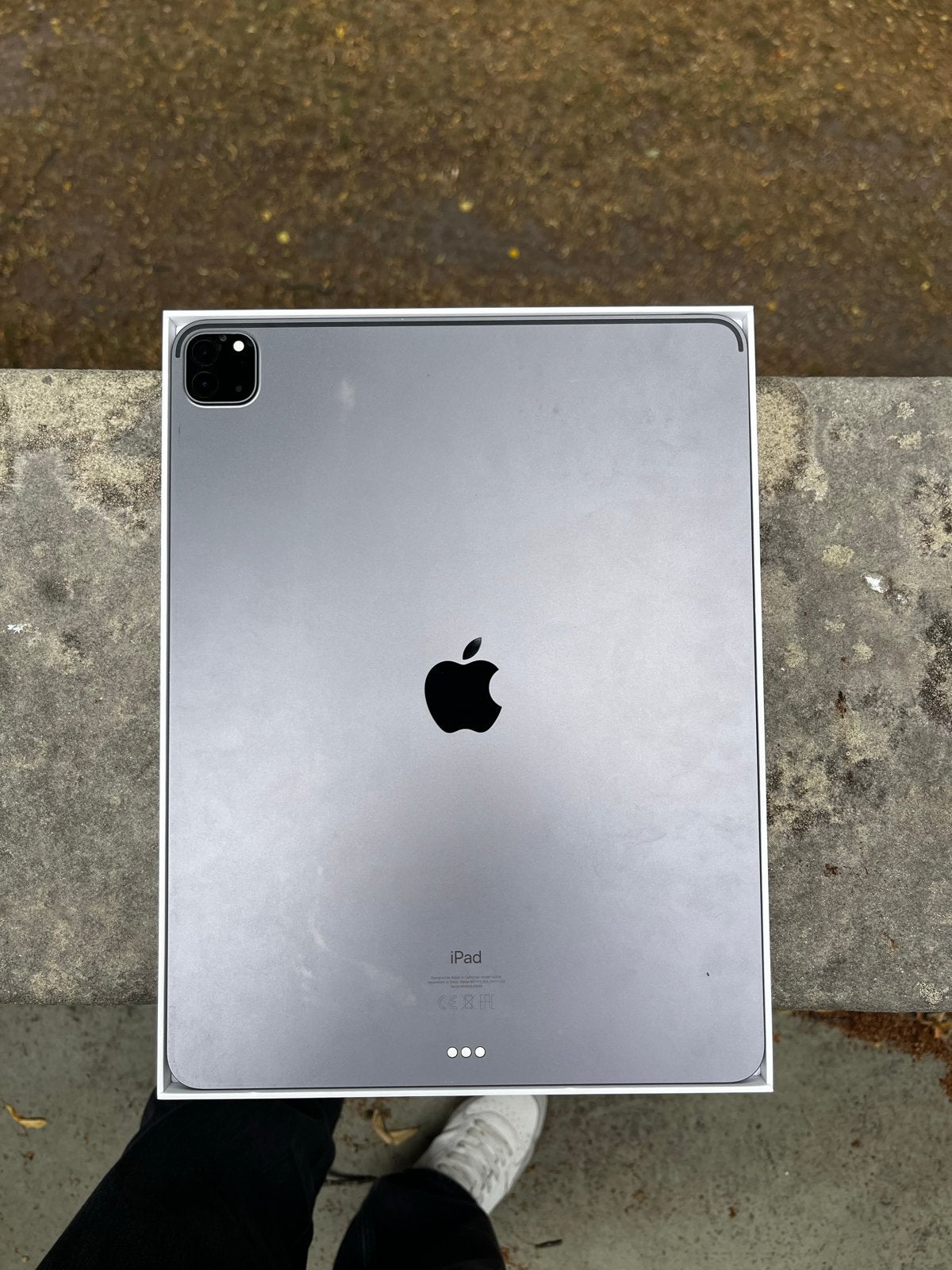 iPad Pro 12.9 inch (5th Gen) 256GB Wi-Fi met doos en lader, Computers en Software, Apple iPads, Ophalen, 12 inch, Zo goed als nieuw