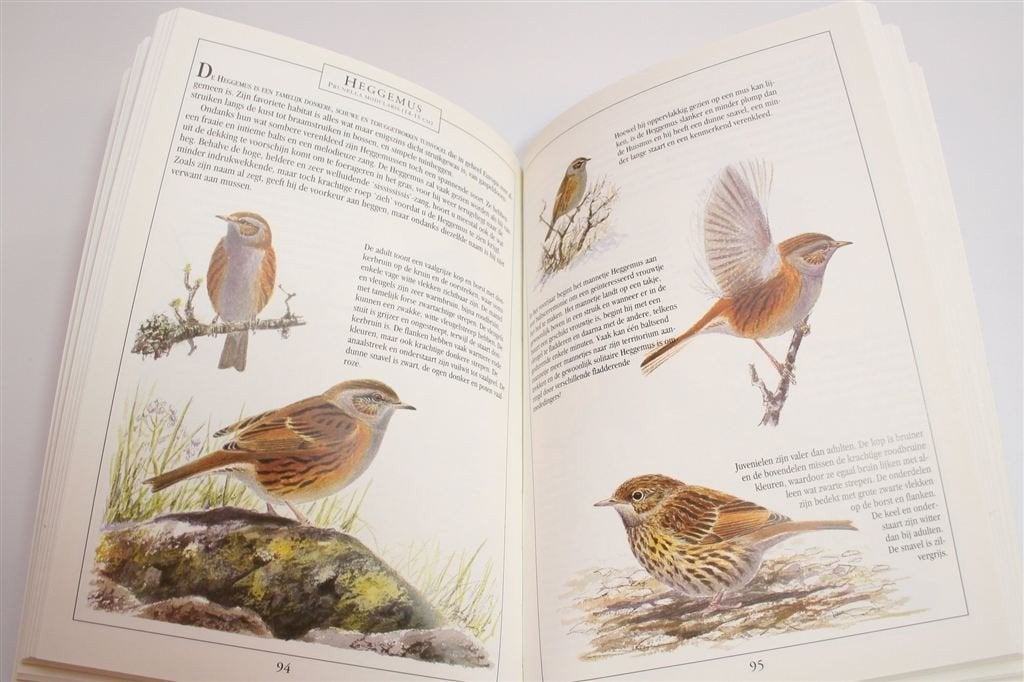 Vogels in Tuinen en Parken — Gids voor Waarnemen & Herkennen, Ophalen of Verzenden, Gelezen, Vogels