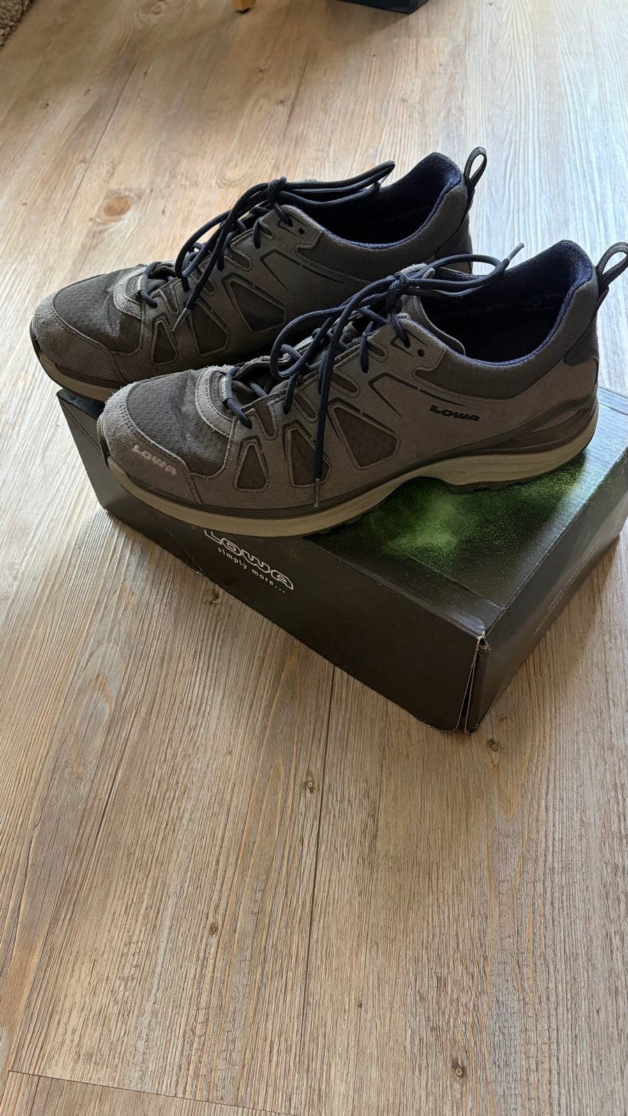 Lowa Innox Evo GTX Low maat 44, Sport en Fitness, Bergsport en Wandelen, Ophalen of Verzenden, Gebruikt, Schoenen