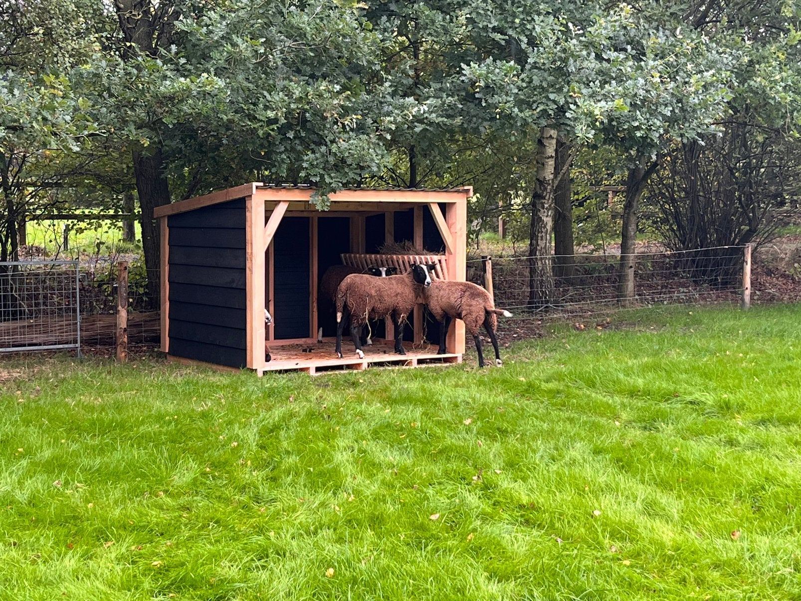 Schuilhok mobiel, Dieren en Toebehoren, Stalling en Weidegang