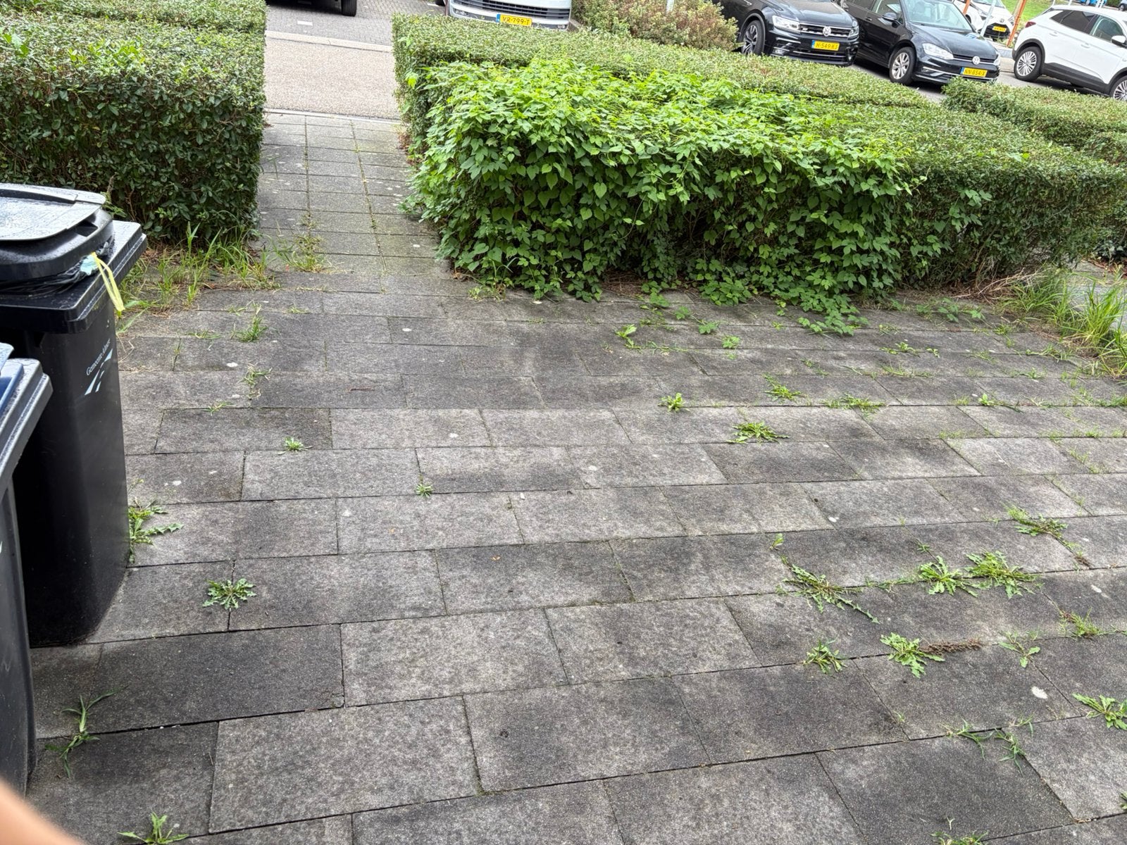 Tuintegels Leeghalen + meenemen GRATIS, Ophalen, Beton, Terrastegels