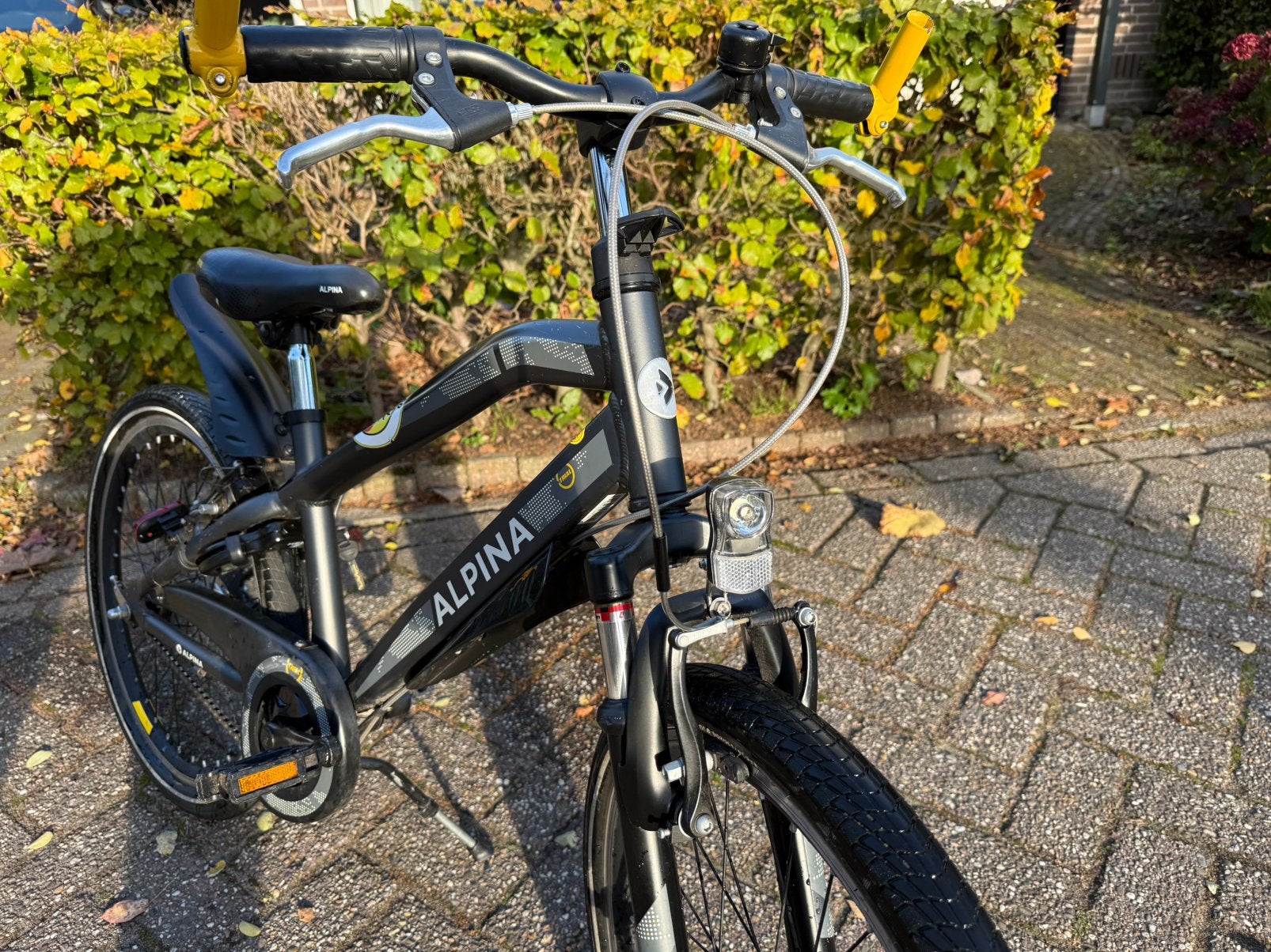 Alpina Trial kinderfiets 22 inch, Ophalen, 22 inch, Gebruikt, Velgrem