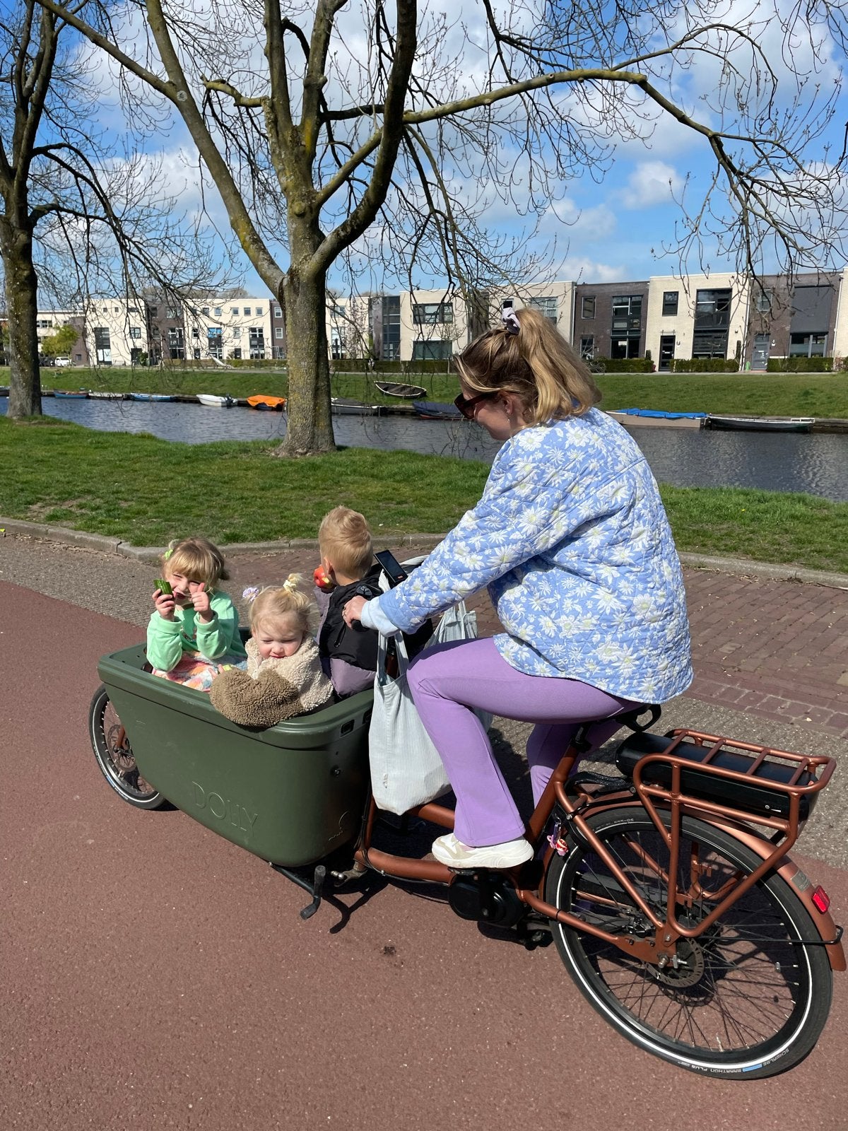 Dolly Bakfiets middenmotor 600wh, Fietsen en Brommers, Fietsen | Bakfietsen, Gebruikt, Huif, 2 kinderen, Schijfrem