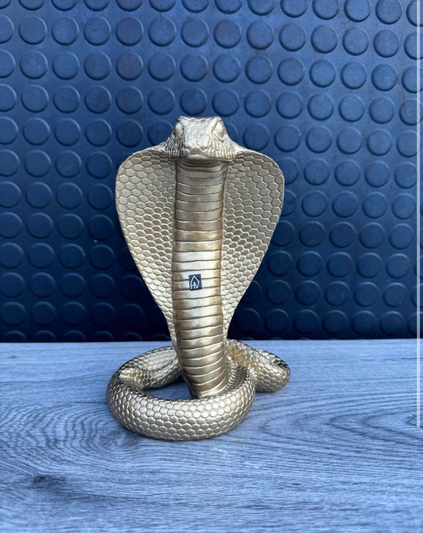 cobra 20x13cm/Nieuw!, Nieuw, Ophalen of Verzenden, Wd, Wd