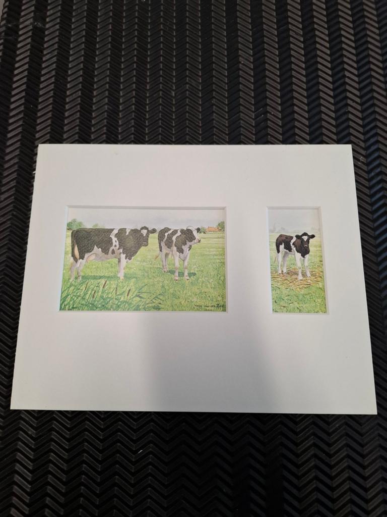 Aquarel 'Trotse Ouders' van Wiebe van der Zee, Ophalen of Verzenden