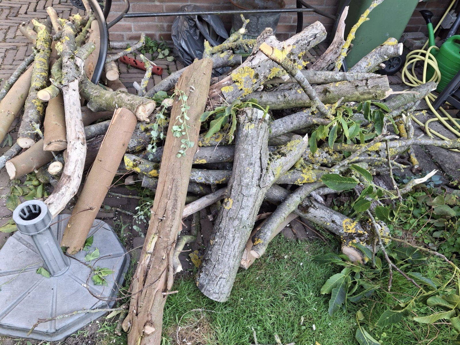 Brandhout: Blokken en Takken van Diverse Houtsoorten, Minder dan 3 m³, Ophalen, Overige houtsoorten, Blokken