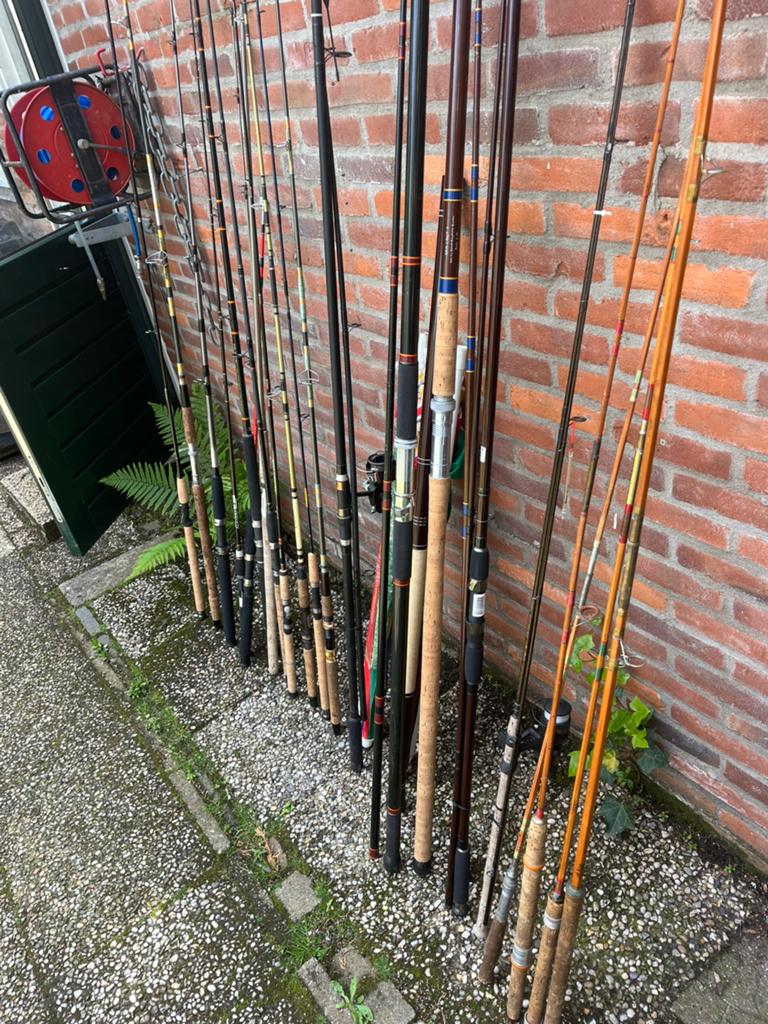 Diverse hengels: spin, karper, zee, boot - Bieden vanaf €15, Ophalen of Verzenden, Gebruikt, Werphengel