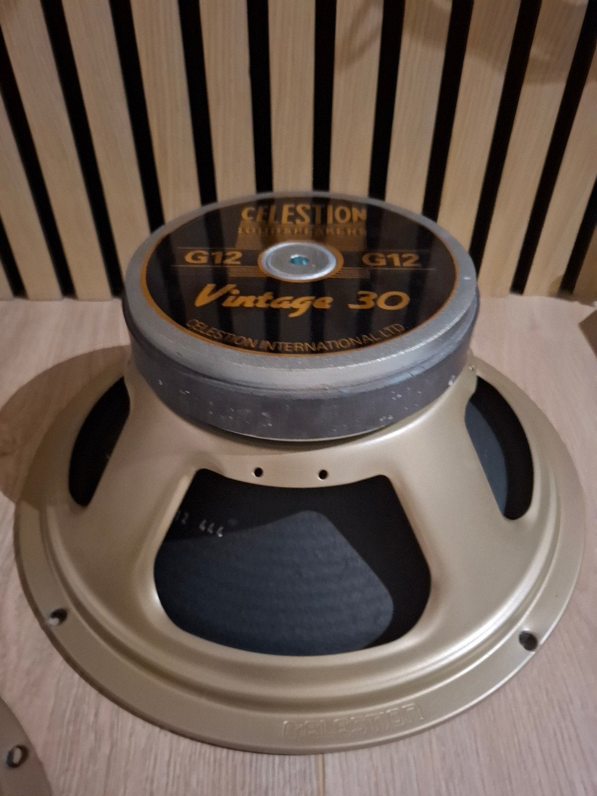Celestion G12 Vintage 30 luidsprekers (2 stuks)