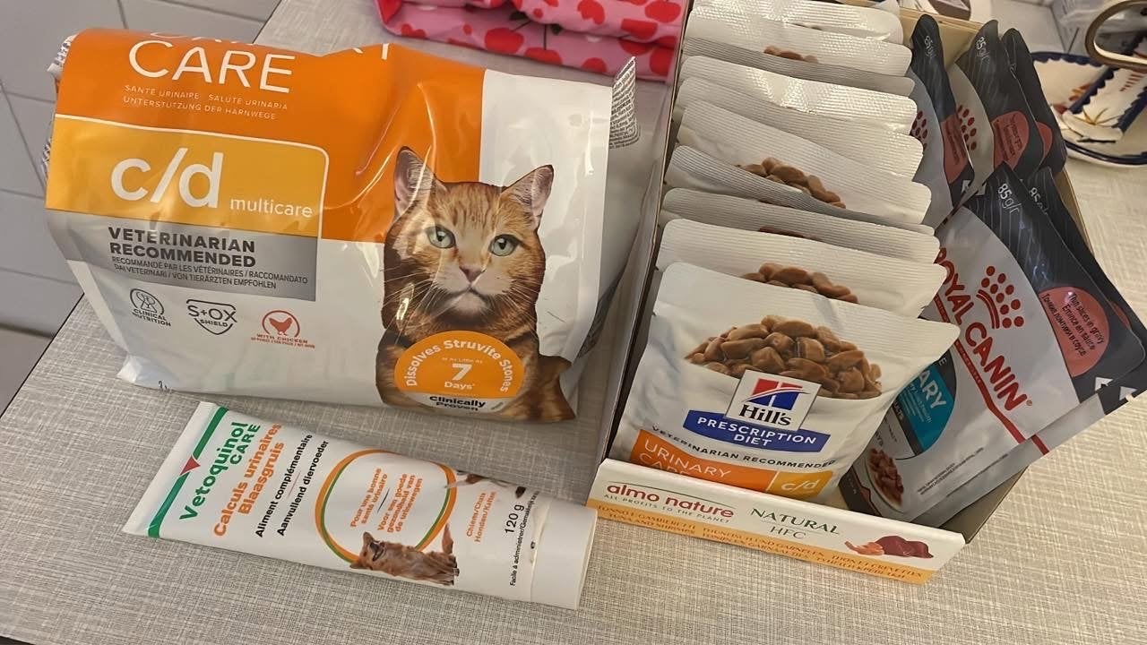 Urinary Care kattenvoer, Dieren en Toebehoren, Dierenvoeding, Ophalen, Kat