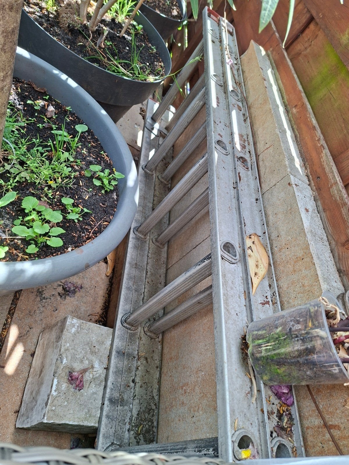 Ladder 6 meter lang, Ophalen of Verzenden, 4 meter of meer