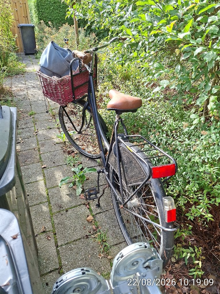 Damesfiets, Fietsen en Brommers, Terugtraprem, Ophalen, Overige merken, 53 tot 56 cm