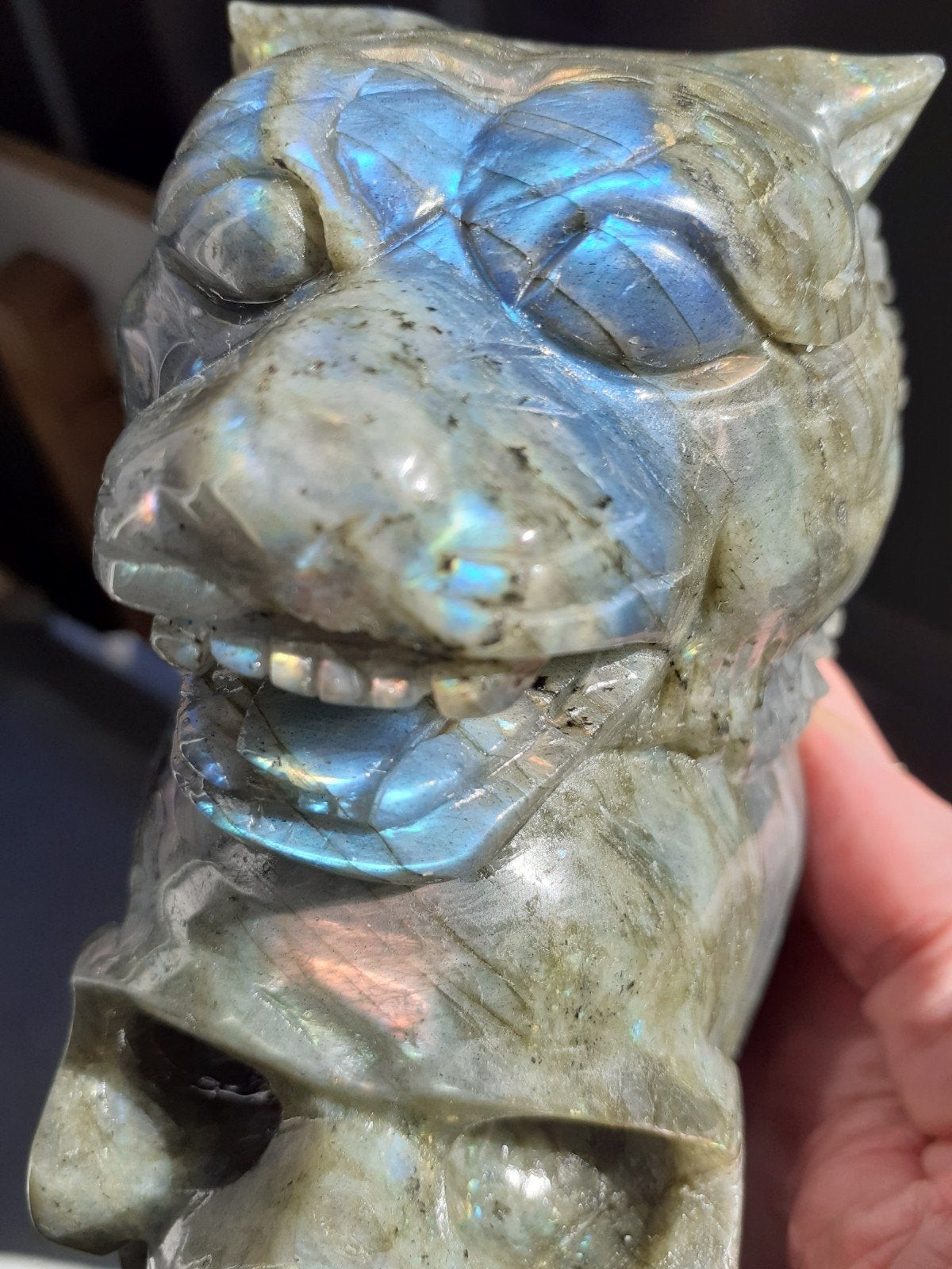 Labradoriet Scull/Tijger van 1.6 Kilo, Ophalen of Verzenden