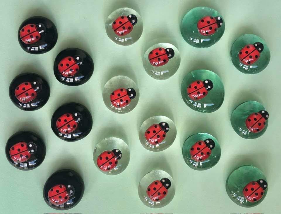 Geluks steentjes lieveheersbeestjes nw, Ophalen of Verzenden, Nieuw