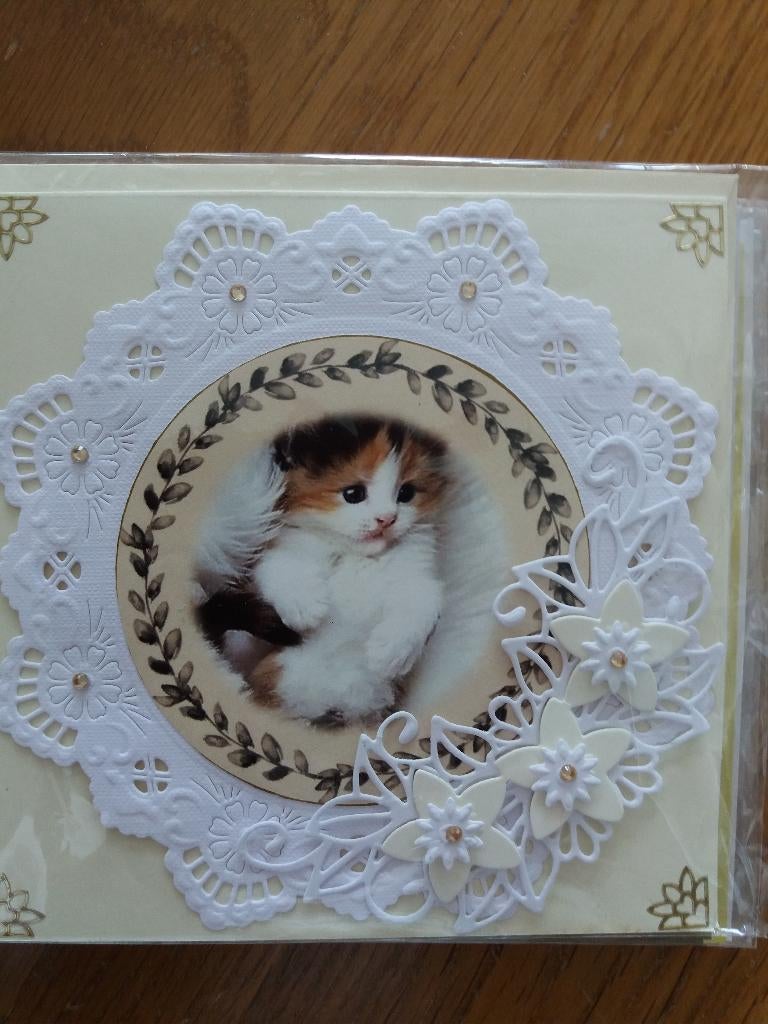 Blanko kaartje met poesje no. 2329, Ophalen of Verzenden, Nieuw, Dieren