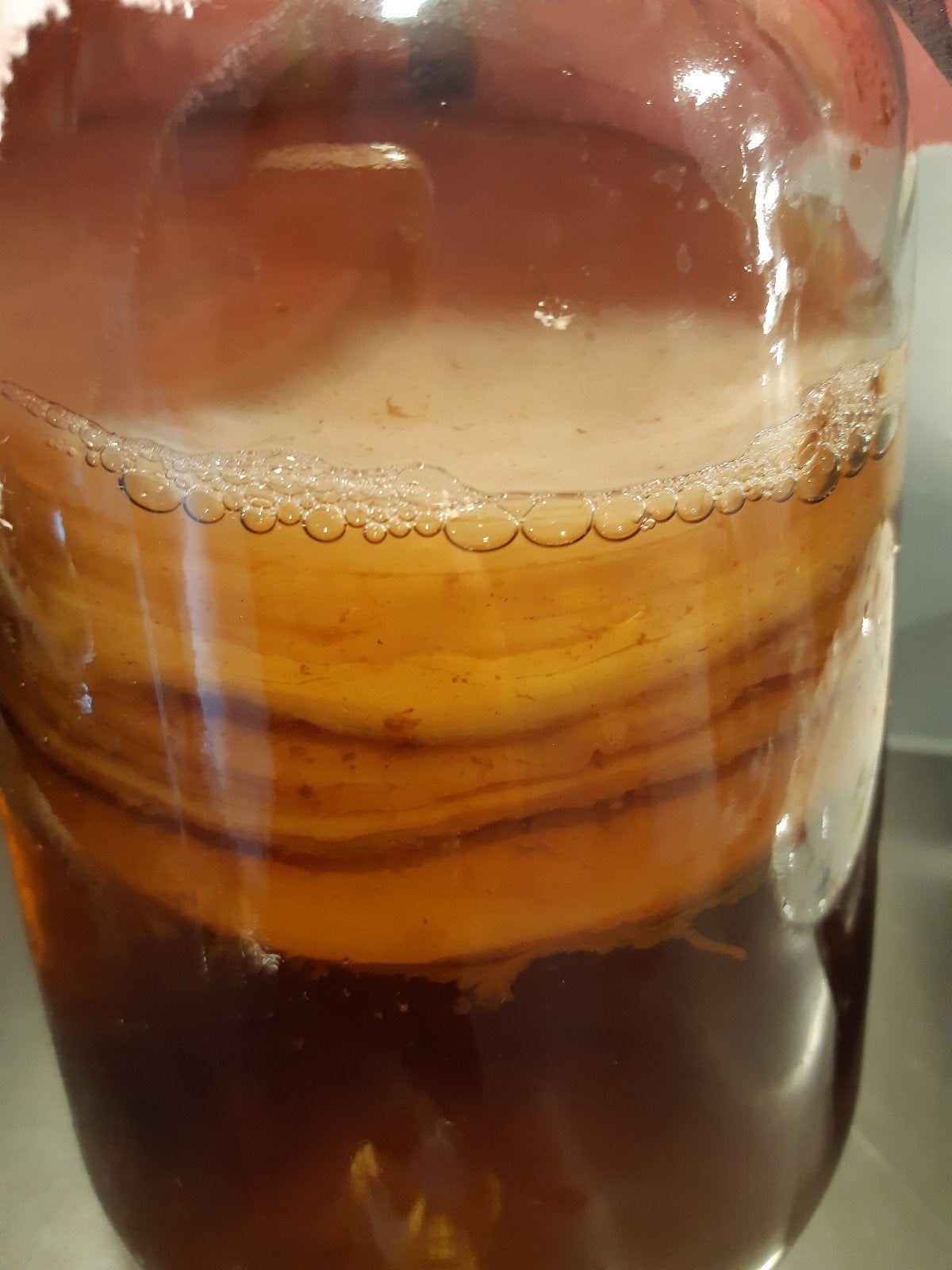 Kombucha, Ophalen