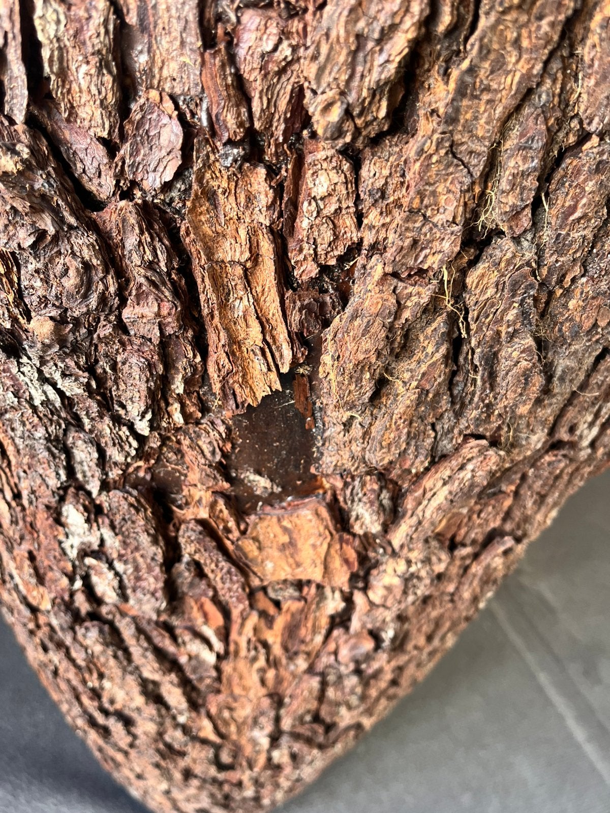 Bosca Vase Bark (111 cm hoog), Ophalen, Overige materialen, Bruin, 111 cm