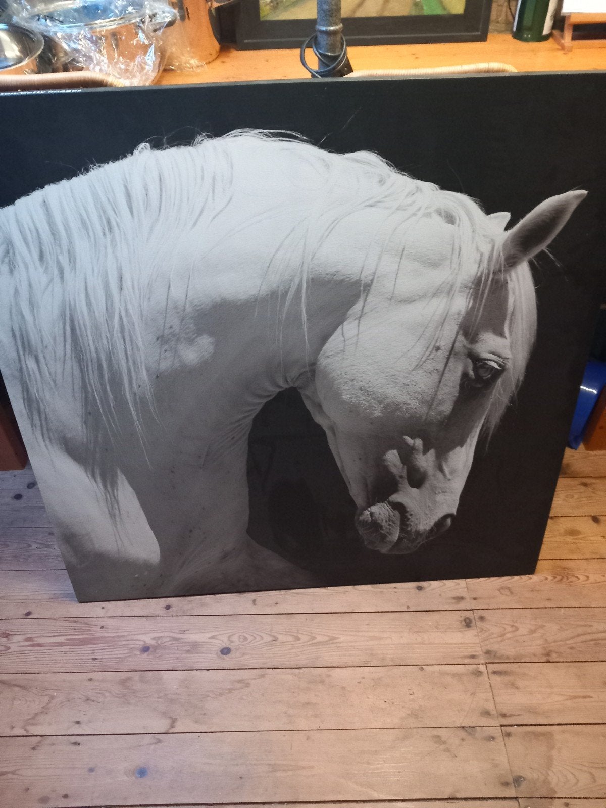 Wanddecoratie paard, Huis en Inrichting, Woonaccessoires | Wanddecoraties, Ophalen
