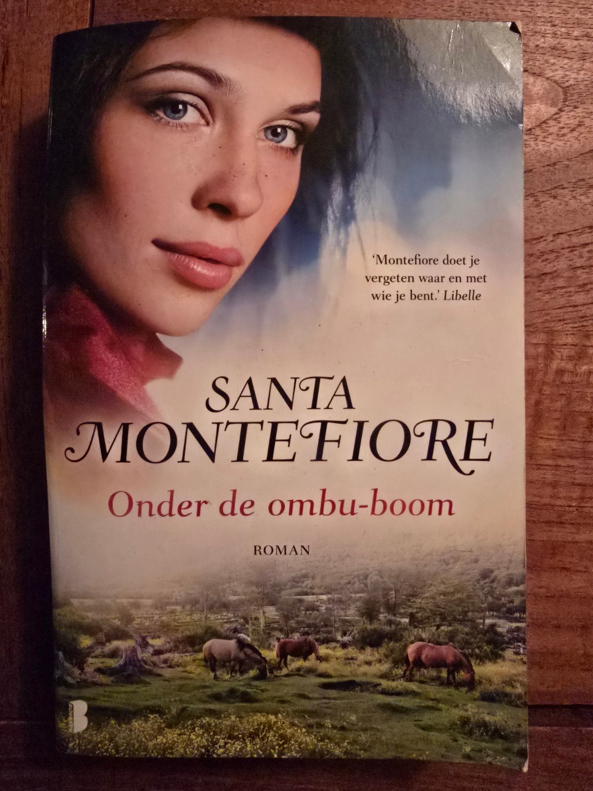 Onder de ombu-boom - Santa Montefiore, Ophalen of Verzenden, Gelezen, Santa Montefiore