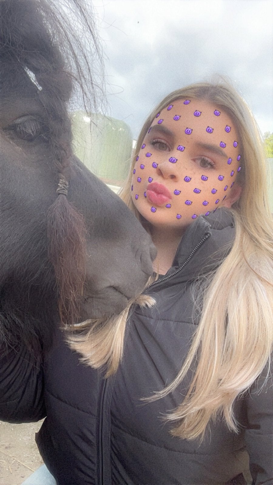 Verzorgpony gezocht, Ophalen of Verzenden, Zo goed als nieuw