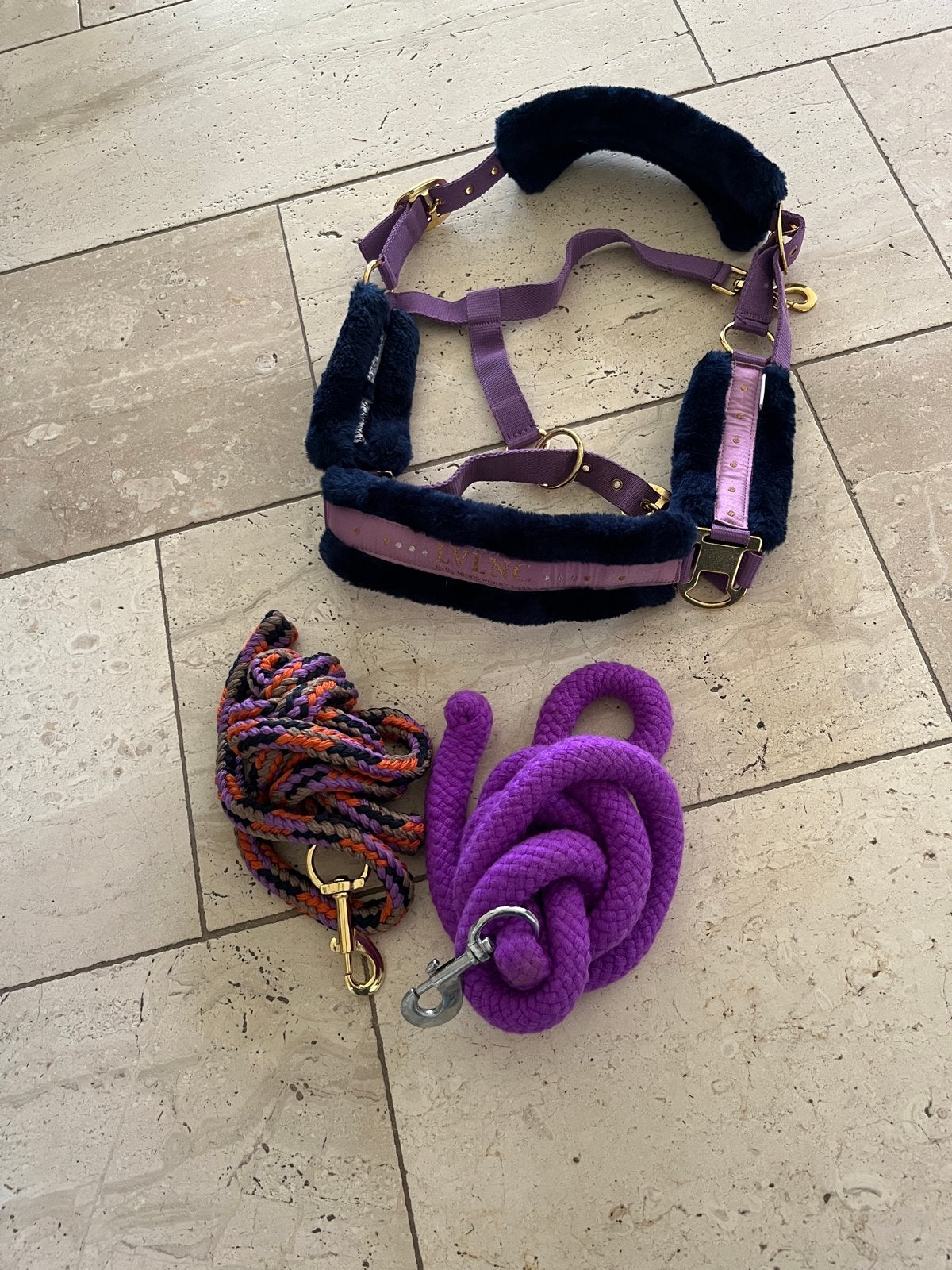 Te koop halster merk LVLNC en 2 halster touwen, Dieren en Toebehoren, Ophalen, Zo goed als nieuw