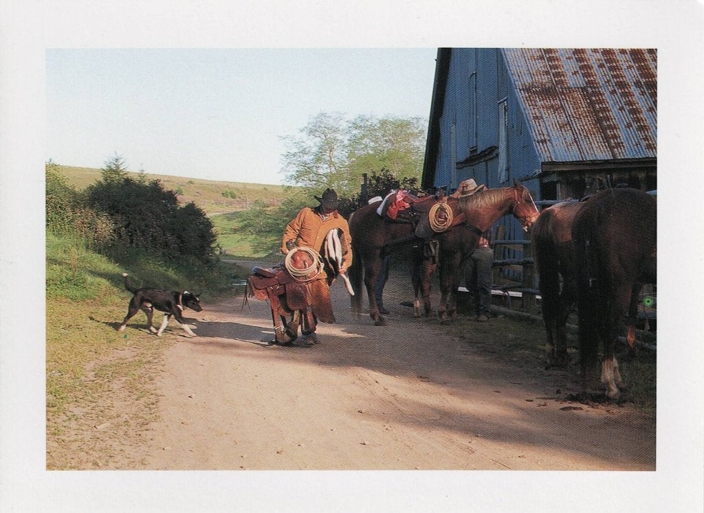 Cowboy and saddle Orrick California 491, Verzamelen, Ophalen of Verzenden, 1980 tot heden, Ongelopen, Paard