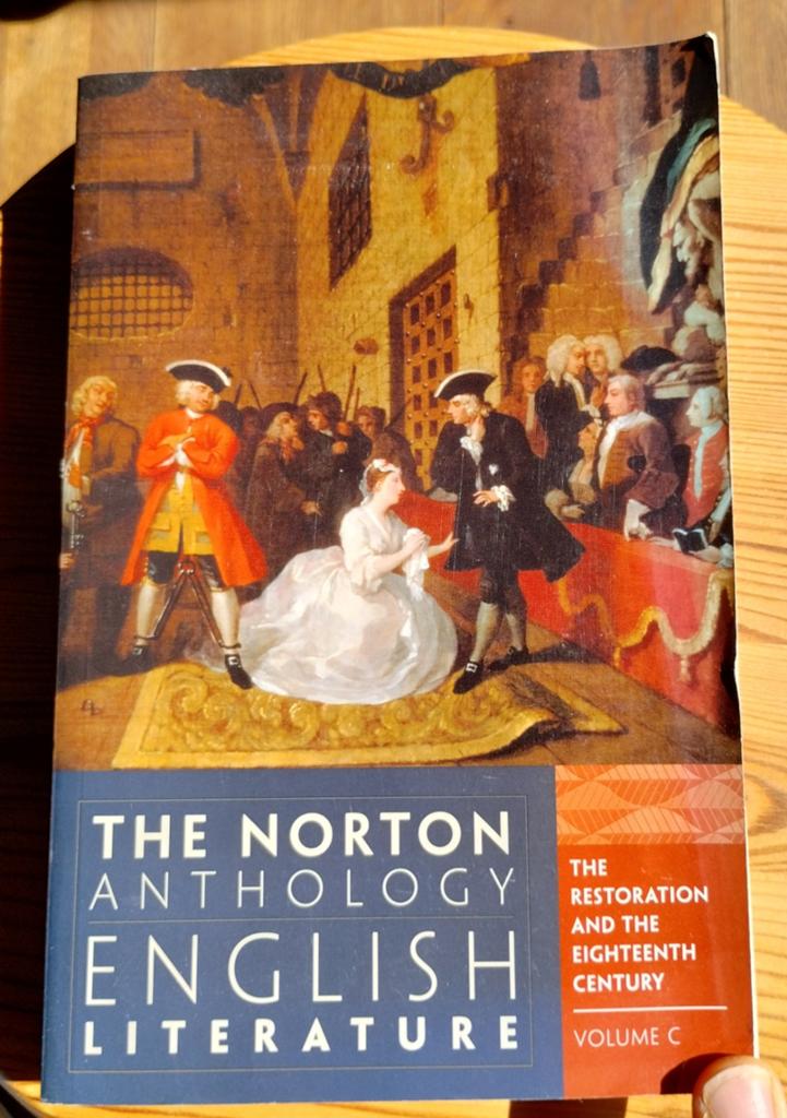 Norton Anthology English Literature Volume C., Boeken, Ophalen of Verzenden, Gelezen, Stephen Greenblatt (General Editor), Amerika