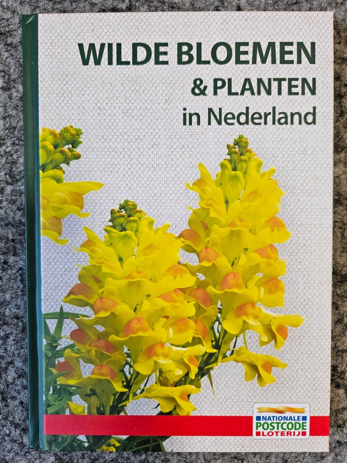 Wilde Bloemen & Planten in Nederland - Natuurboek, Ophalen of Verzenden, Nieuw, Bloemen, Planten en Bomen, Onbekend