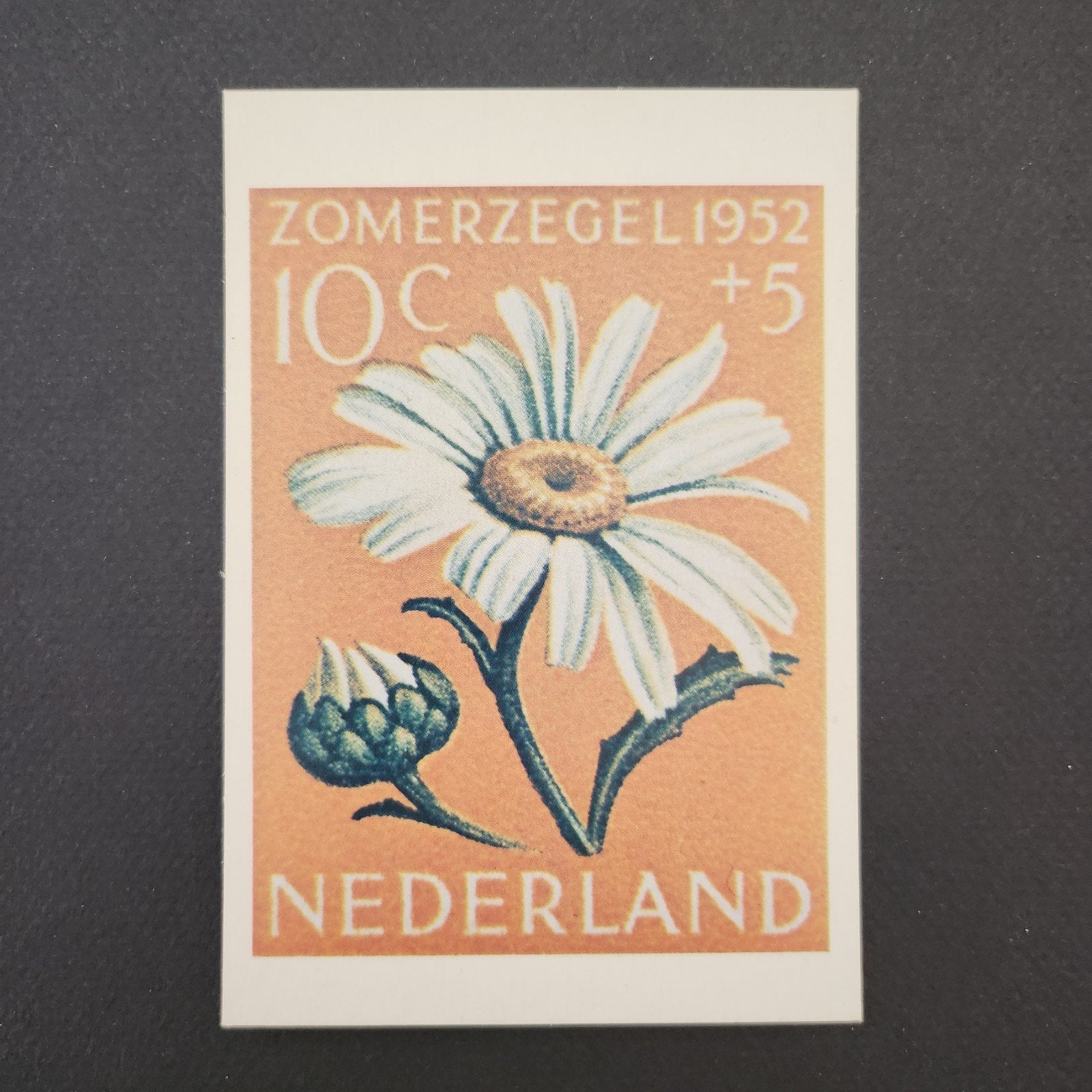 Maximumkaart Zomerzegel 1952 - Margriet, Verzenden, 1960 tot 1980, Ongelopen