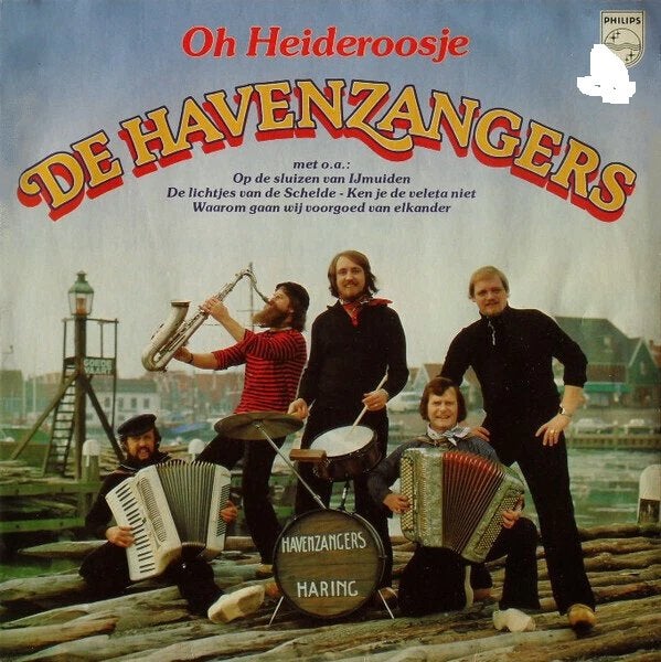 De Havenzangers, LP, Overige formaten, Ophalen of Verzenden, Zo goed als nieuw