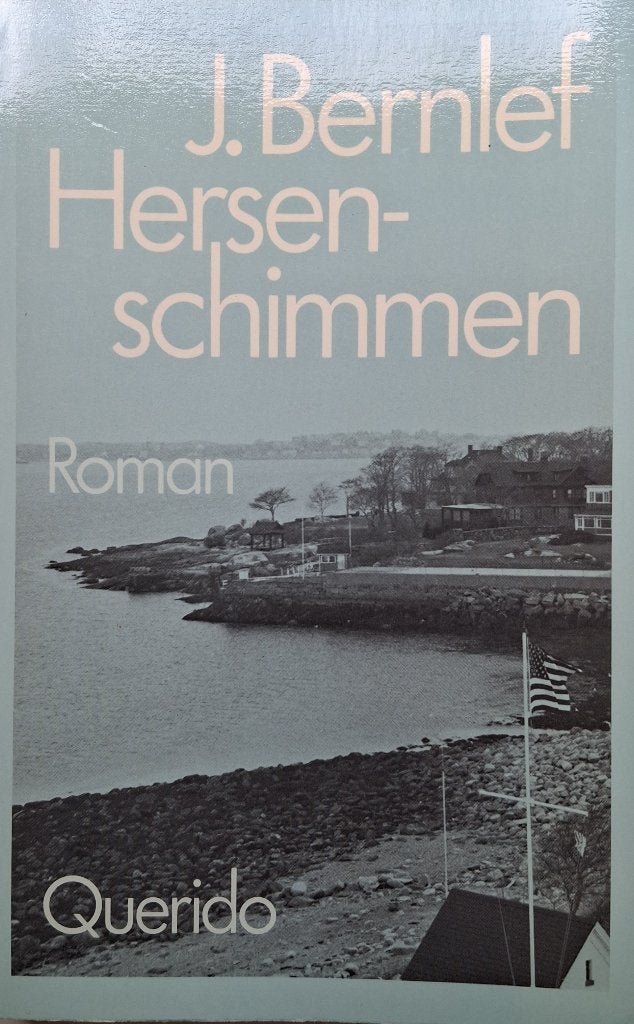 J. Bernlef - Hersenschimmen, Ophalen of Verzenden, Gelezen, Nederland