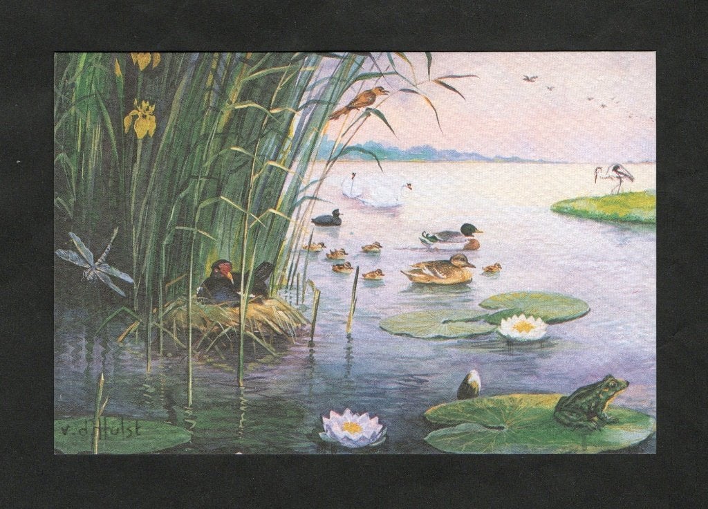 W.G. van de Hulst Libelle Waterhoentje Eend Meerkoet Kikker., Ophalen of Verzenden, 1980 tot heden, Ongelopen, Cultuur en Media