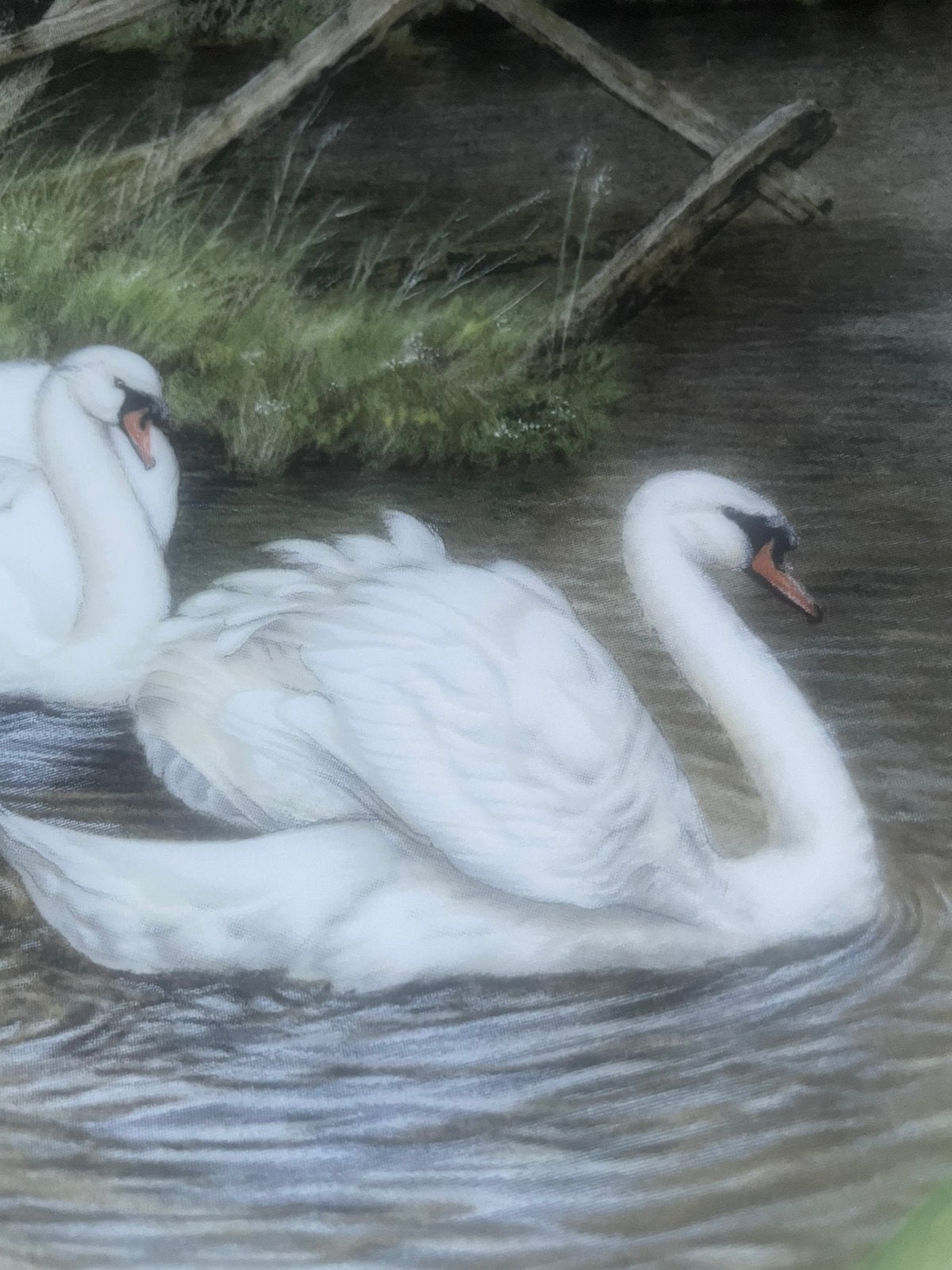 Royal Worcester 'Swan Lake' sierbord - 1990, Ophalen of Verzenden