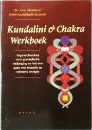 kundalini & chakra werkboek, Ophalen of Verzenden, Zo goed als nieuw, Spiritualiteit algemeen, Overige typen
