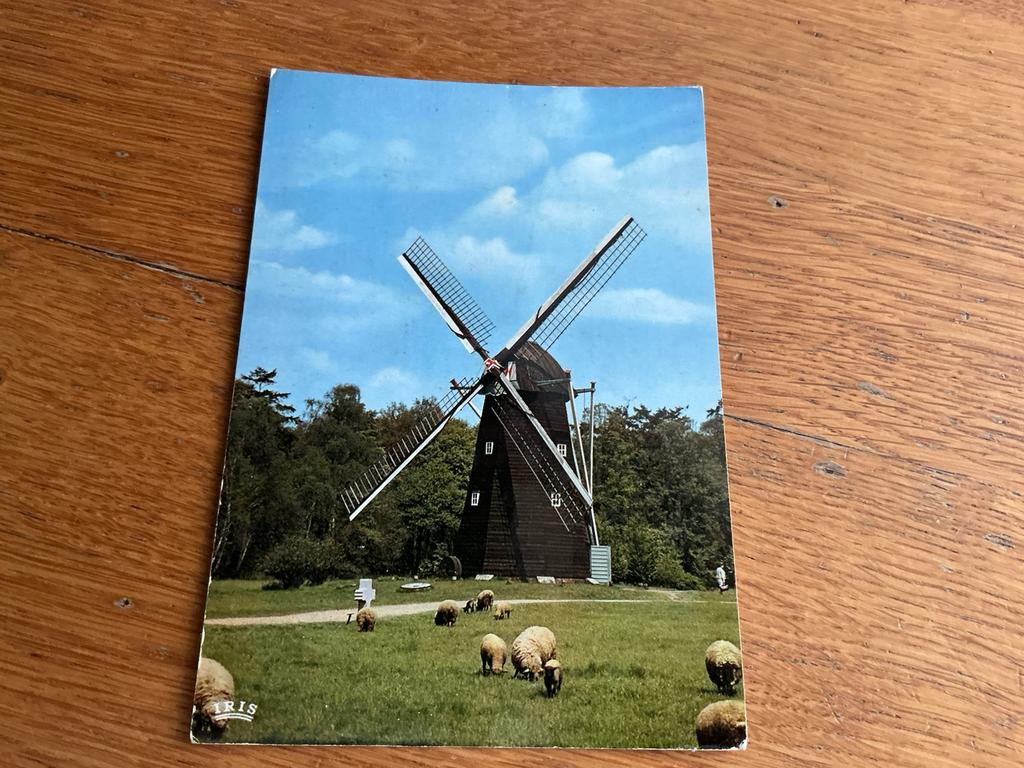 1066 molen Bokrijk openluchtmuseum schapen, Ophalen of Verzenden