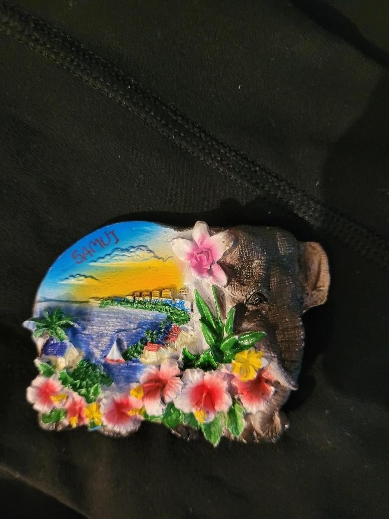 Koelkastmagneet Koh Samui Thailand, Overige merken, Overige typen, Nieuw, Ophalen of Verzenden