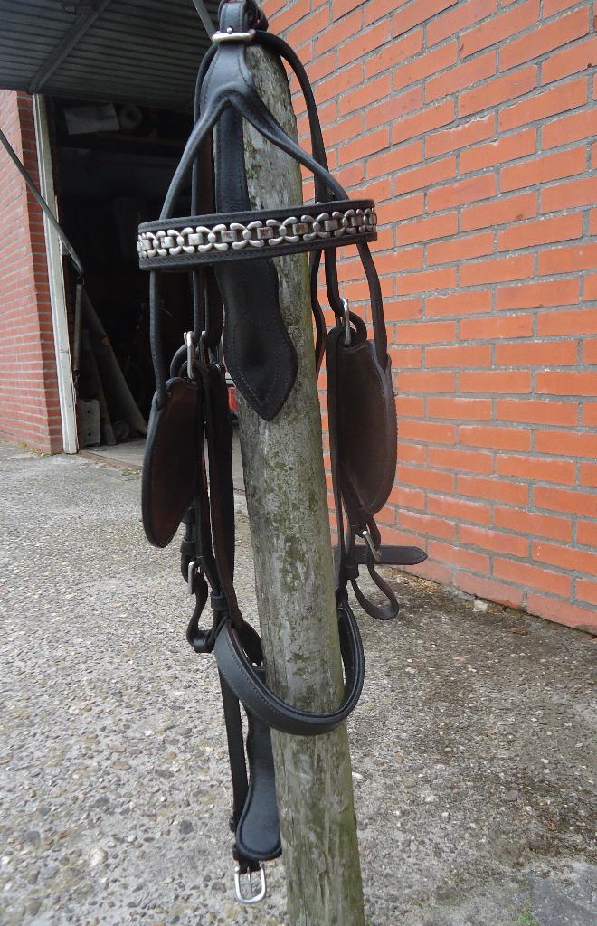 Mennen hoofdstel, bit, strengen, tuigonderleggers, Dieren en Toebehoren, Paarden en Pony's | Hoofdstellen en Tuigage, Ophalen