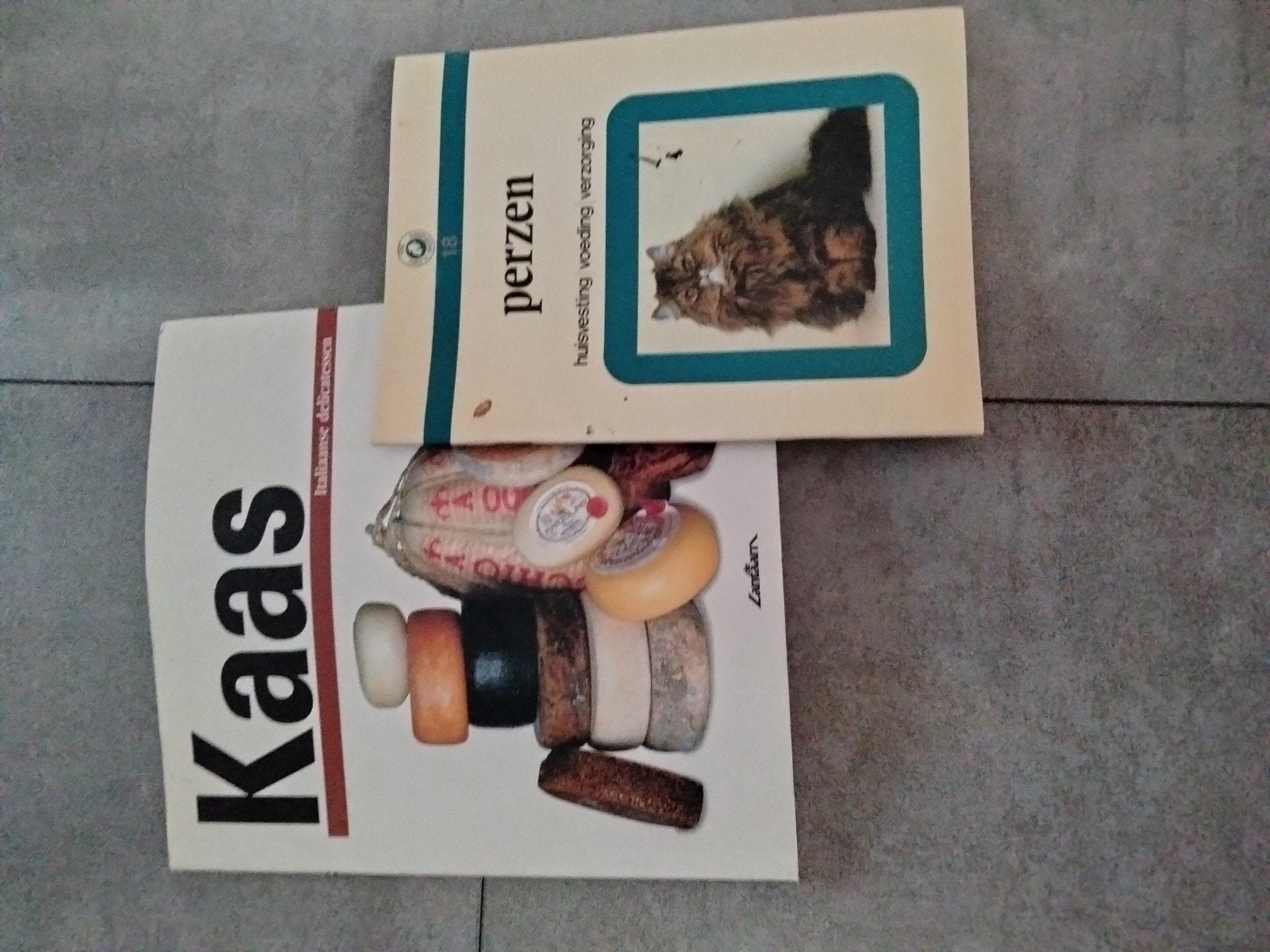 Kookboek Italiaanse delicatessen: Kaas, Ophalen of Verzenden, Gelezen, Italië, Voorgerechten en Soepen