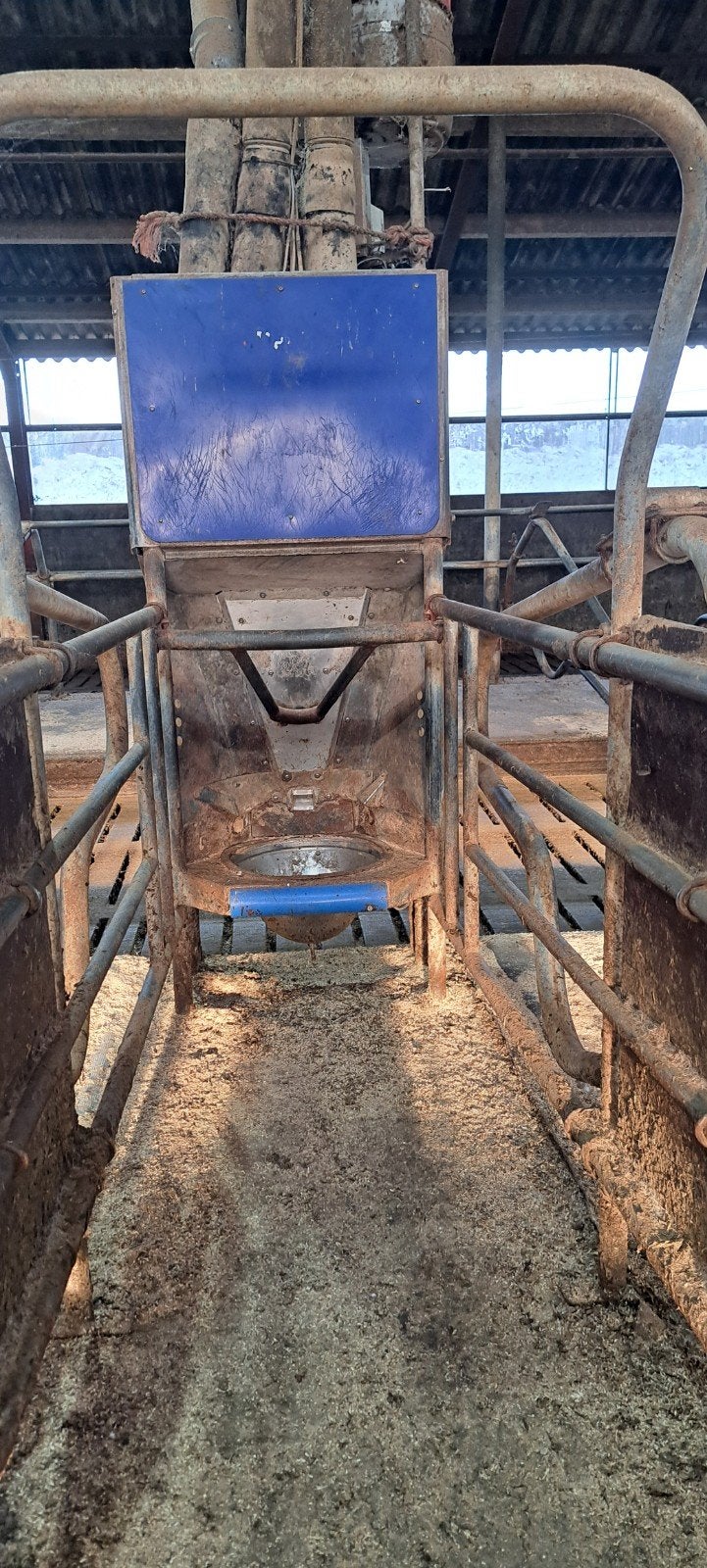 Krachtvoerbox delaval, Dieren en Toebehoren, Stalling en Weidegang