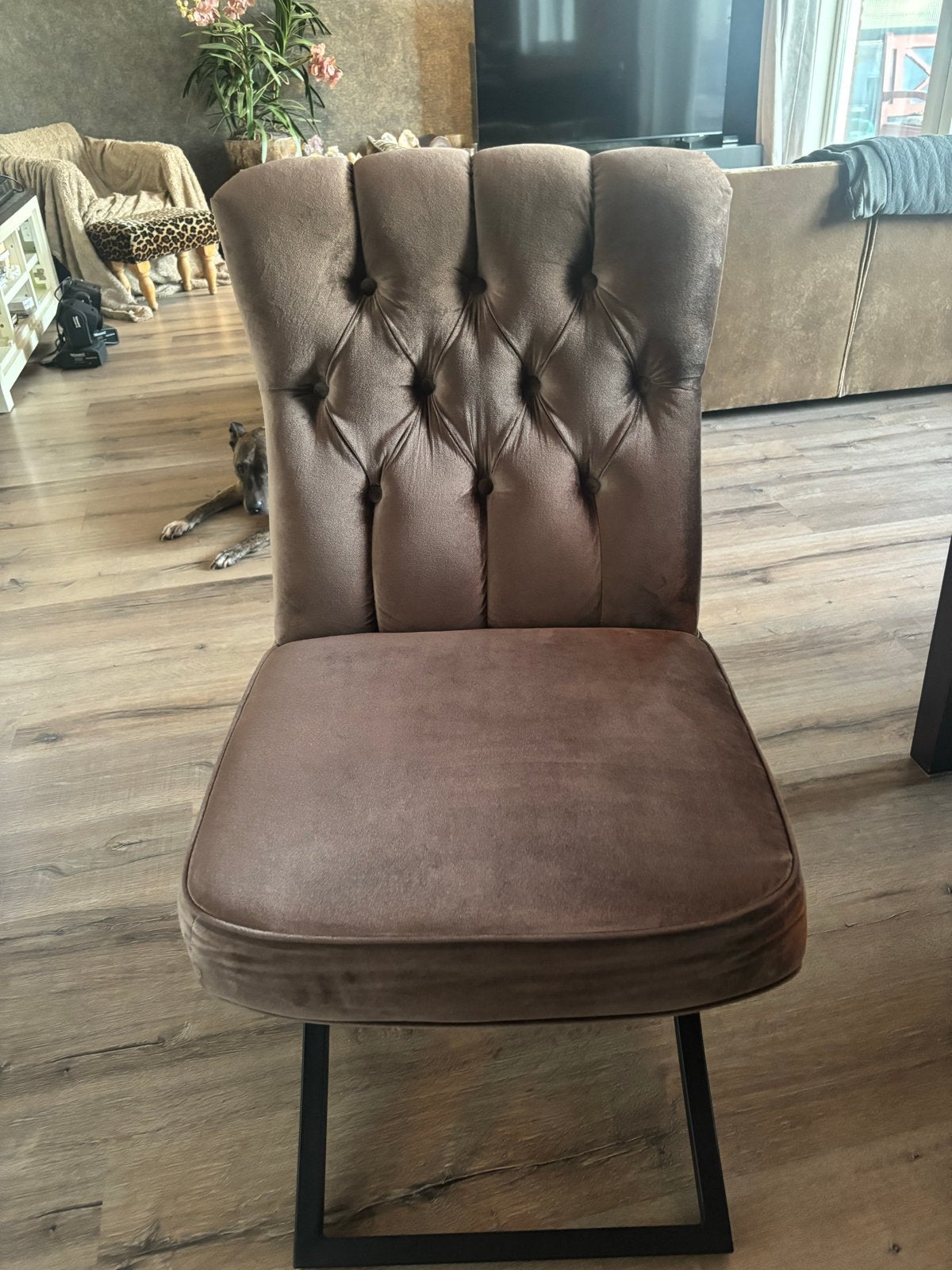 Foto 3 van 4x Eetkamerstoelen - Zo goed als nieuw