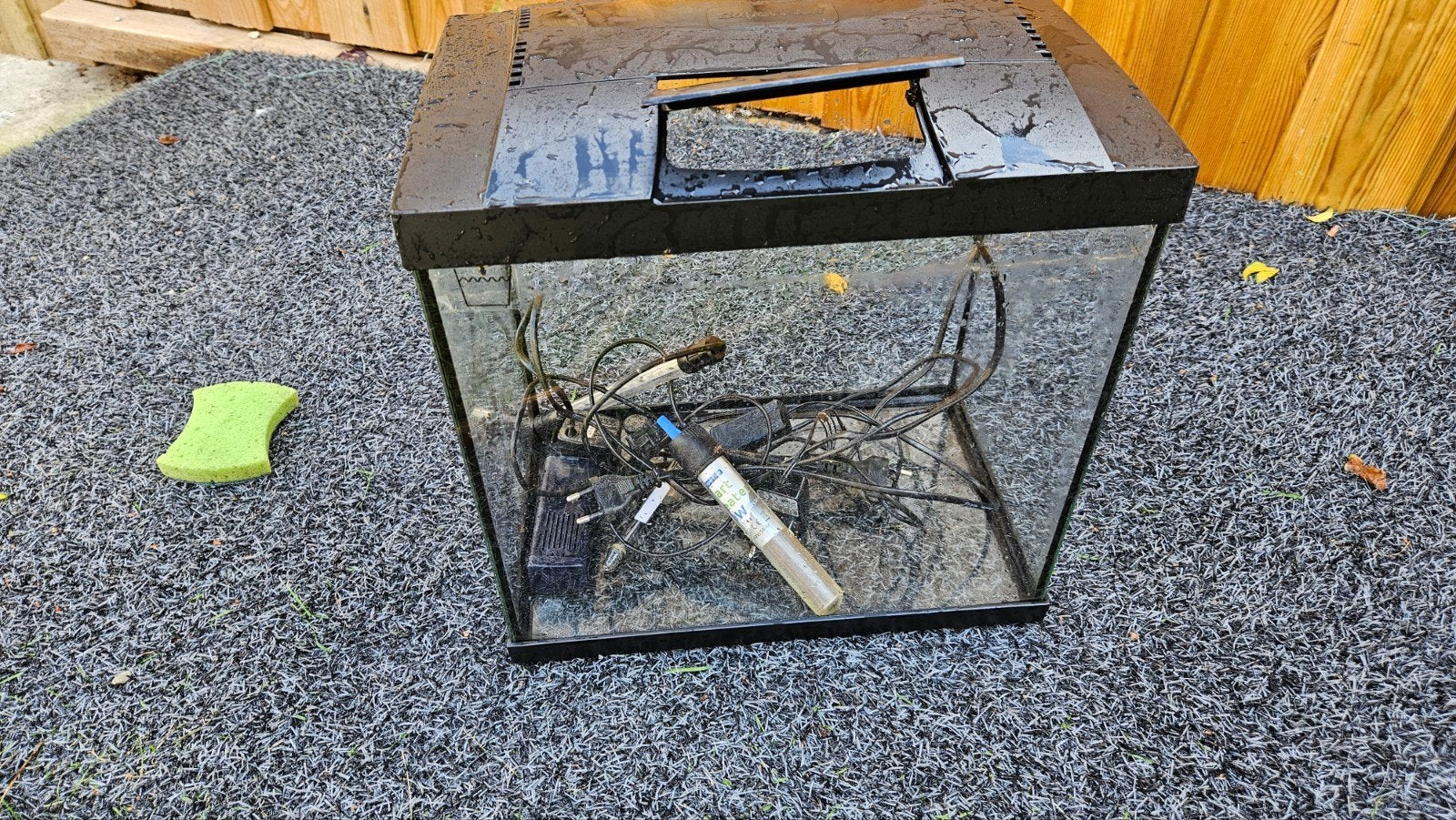 fish tank, Ophalen of Verzenden