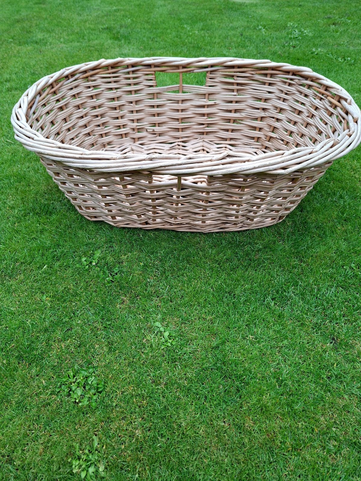 Grote rieten mand - 75x50x25 cm, Huis en Inrichting, Woonaccessoires | Schalen en Manden, Ophalen, Gebruikt, Gevlochten, Mand
