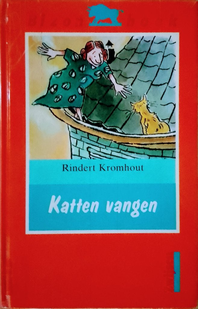 Katten Vangen, Gelezen, Fictie algemeen, Ophalen of Verzenden, Rindert Kromhout.