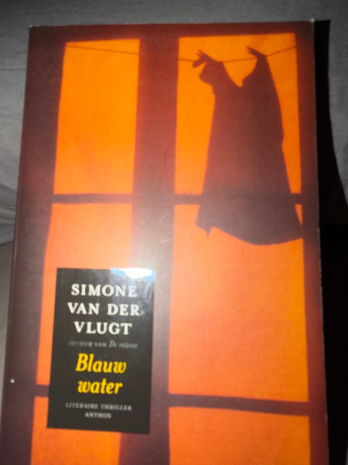 D1.  Simone van der Vlugt - Blauw water (Literaire thriller), Ophalen of Verzenden, Gelezen, Nederland